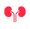 Kidney Logo